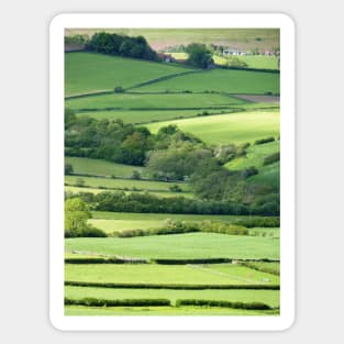 Yorkshire's Beauty #2 Sticker